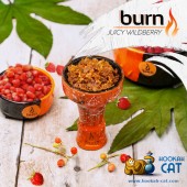 Табак Burn Juicy Wildberry (Земляника) 25г Акцизный